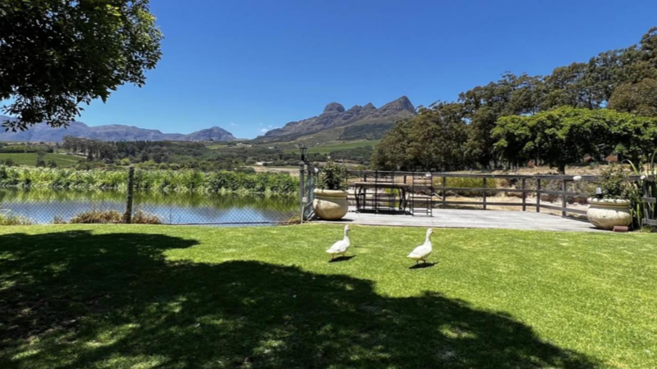 In The Vine Country Manor Guesthouse Stellenbosch Exterior foto