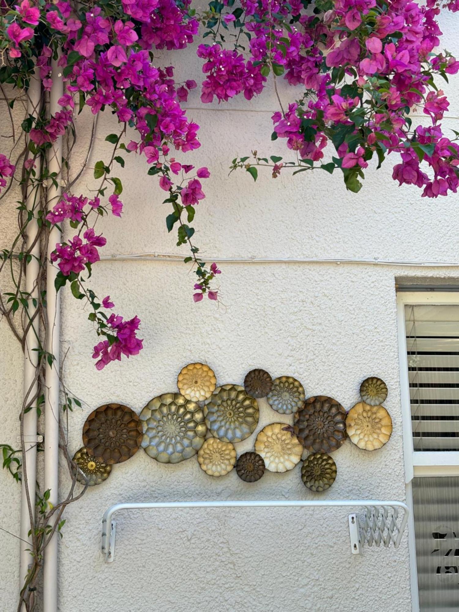 In The Vine Country Manor Guesthouse Stellenbosch Exterior foto